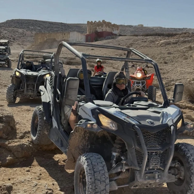 Buggy Riding Experience